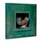 Stupell Industries Spotted Owls Perched Ledge Canvas Wall Art